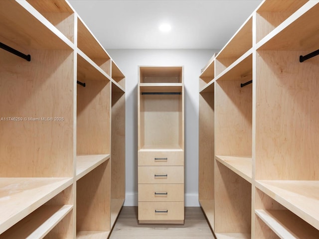 walk in closet featuring light wood finished floors