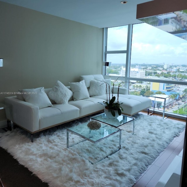 living room with floor to ceiling windows and wood-type flooring