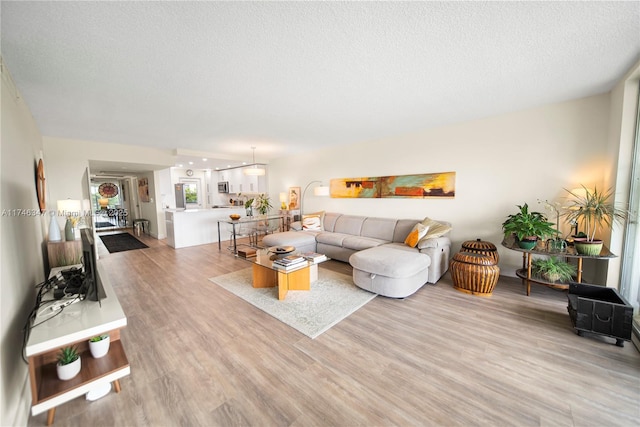 living area featuring light wood-type flooring and a textured ceiling