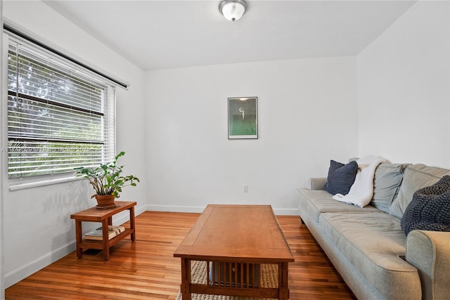 living room featuring hardwood / wood-style flooring