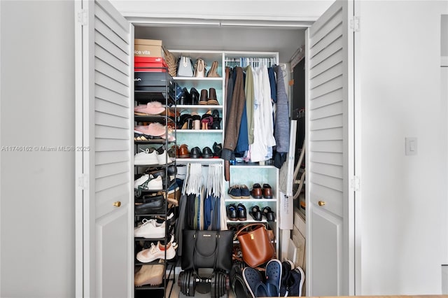 view of closet