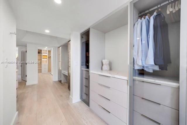 10655 NE Quaybridge Ct Unit C3, Miami, FL 33138 - spacious closet with light wood-style flooring