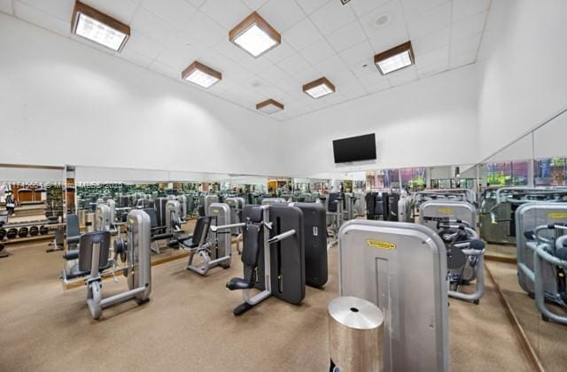 10655 NE Quaybridge Ct Unit C3, Miami, FL 33138 - workout area featuring a towering ceiling, carpet flooring, and a drop ceiling