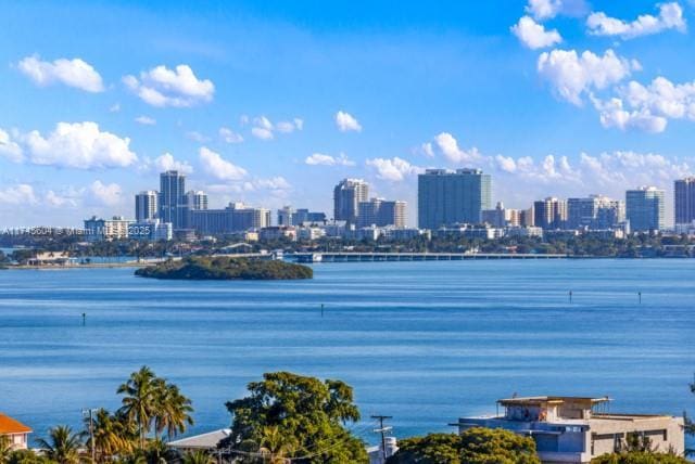 10655 NE Quaybridge Ct Unit C3, Miami, FL 33138 - water view with skyline