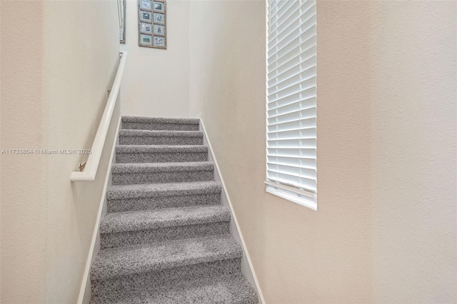 stairs featuring carpet flooring