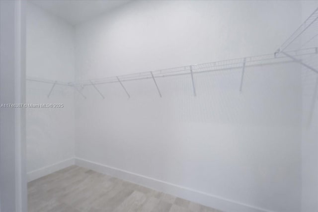 spacious closet with light wood-type flooring