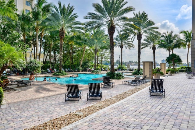 view of swimming pool featuring a patio