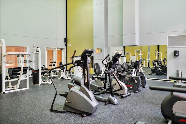 exercise room featuring a high ceiling