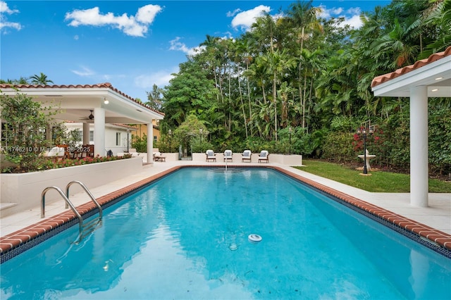 outdoor pool featuring a patio and ceiling fan