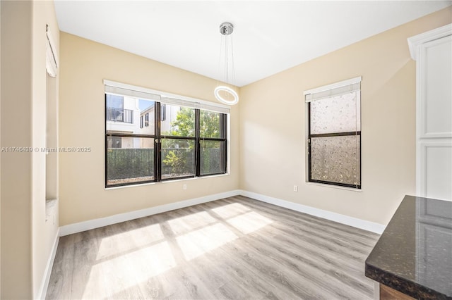 unfurnished dining area featuring light hardwood / wood-style floors