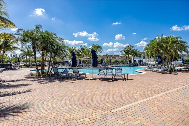 view of swimming pool with a patio area