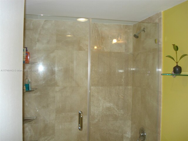 770 Claughton Island Dr Unit 1708, Miami, FL 33131 - bathroom with a stall shower