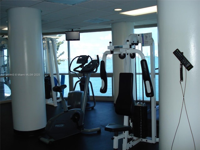 770 Claughton Island Dr Unit 1708, Miami, FL 33131 - gym with expansive windows and a drop ceiling