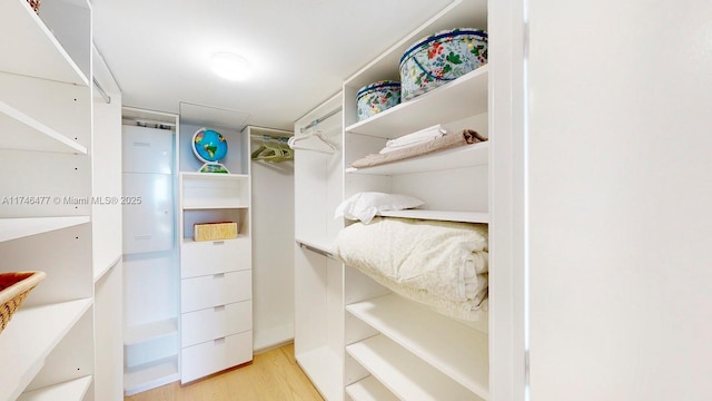 walk in closet featuring light hardwood / wood-style floors