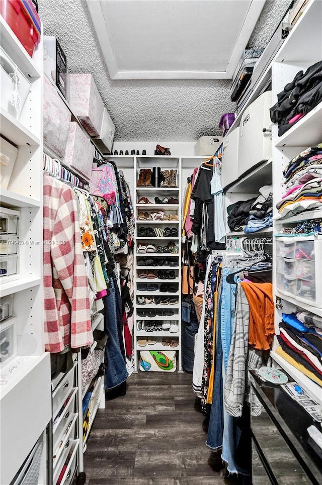 spacious closet featuring dark hardwood / wood-style floors