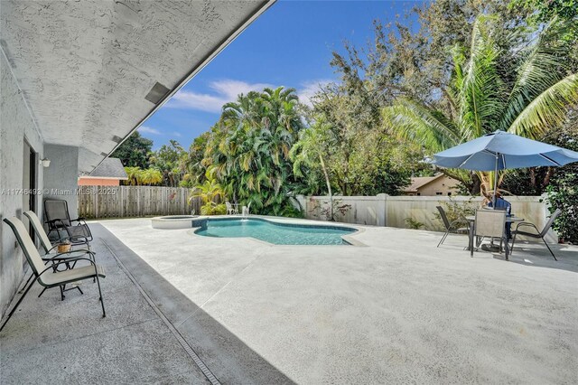 view of swimming pool featuring a patio area