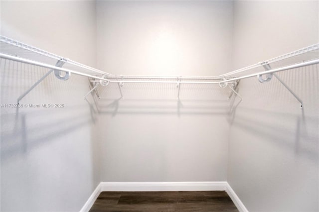 walk in closet featuring hardwood / wood-style floors