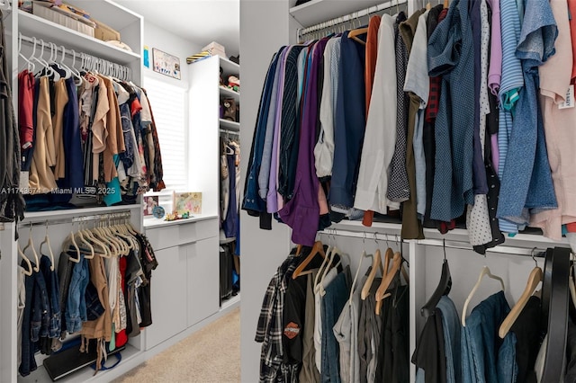 spacious closet featuring light carpet