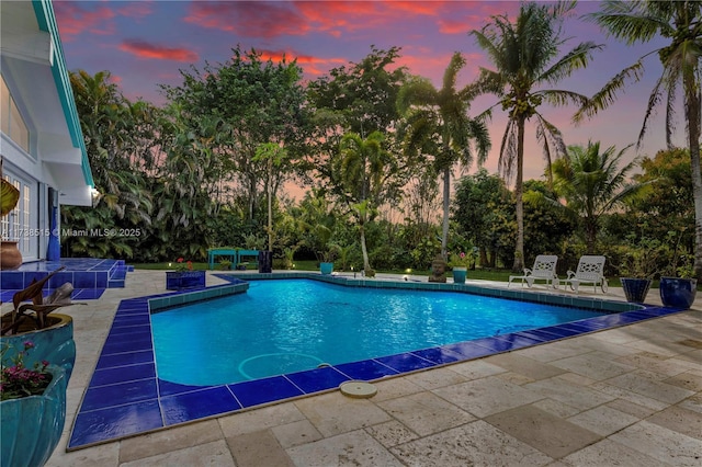 pool at dusk featuring a patio and an outdoor pool