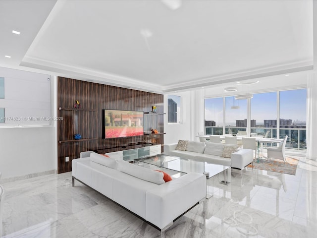 living room with a raised ceiling