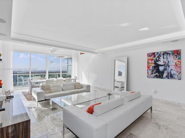 living room with a tray ceiling