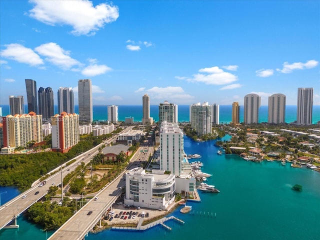 aerial view with a water view