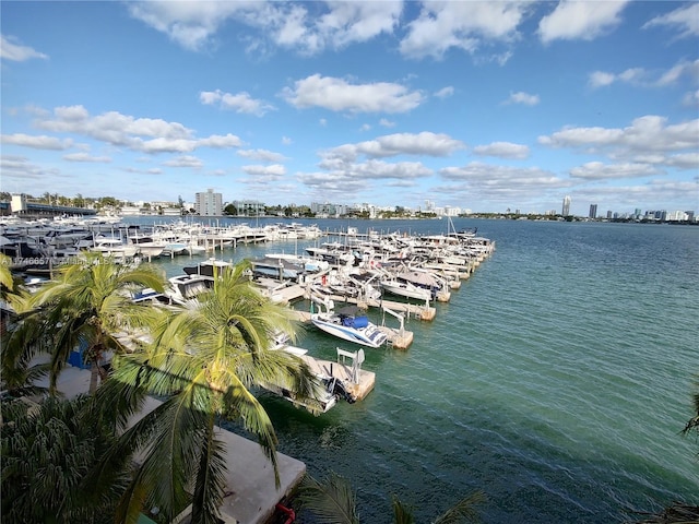 exterior space with a dock