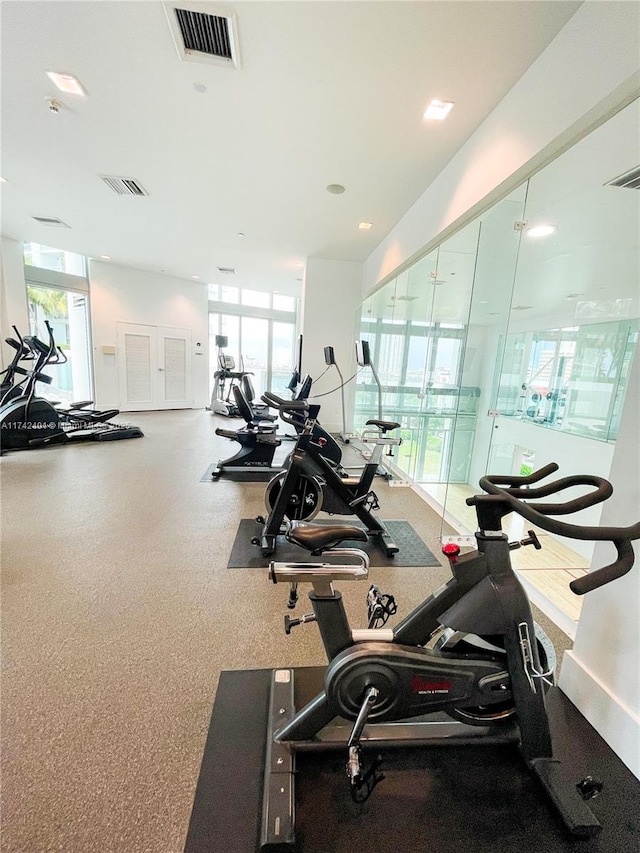 workout area featuring a healthy amount of sunlight