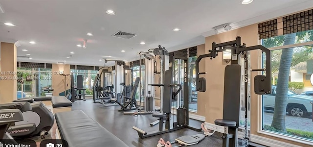 exercise room with a wealth of natural light and floor to ceiling windows