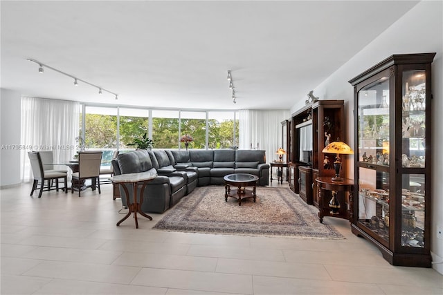 living room featuring rail lighting and a wealth of natural light