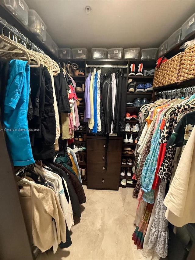 view of spacious closet