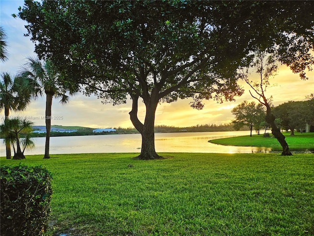 view of community featuring a water view and a yard