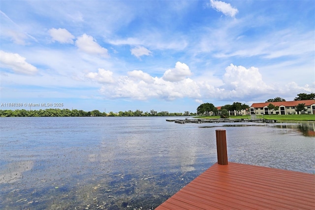 dock area featuring a water view