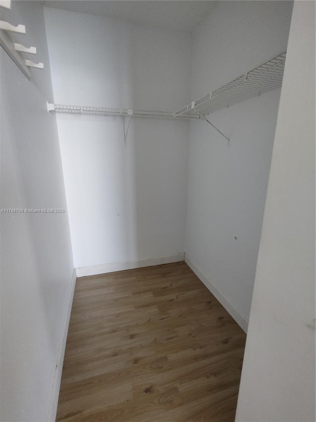 spacious closet with hardwood / wood-style floors