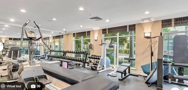 workout area with expansive windows and a healthy amount of sunlight