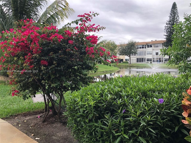 surrounding community featuring a water view