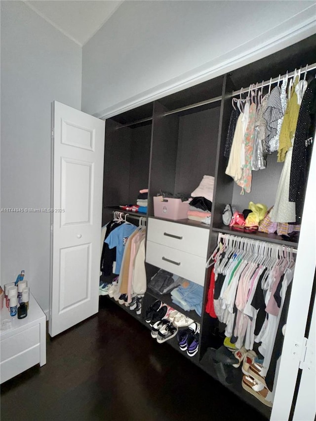 view of closet