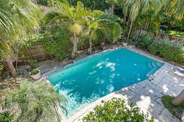 view of swimming pool