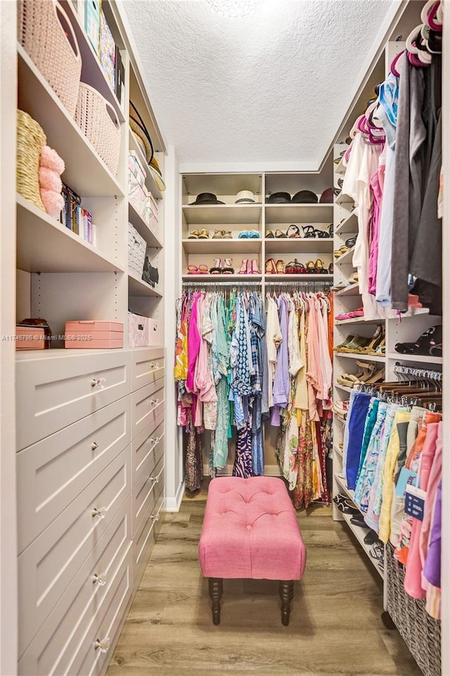 walk in closet with wood-type flooring