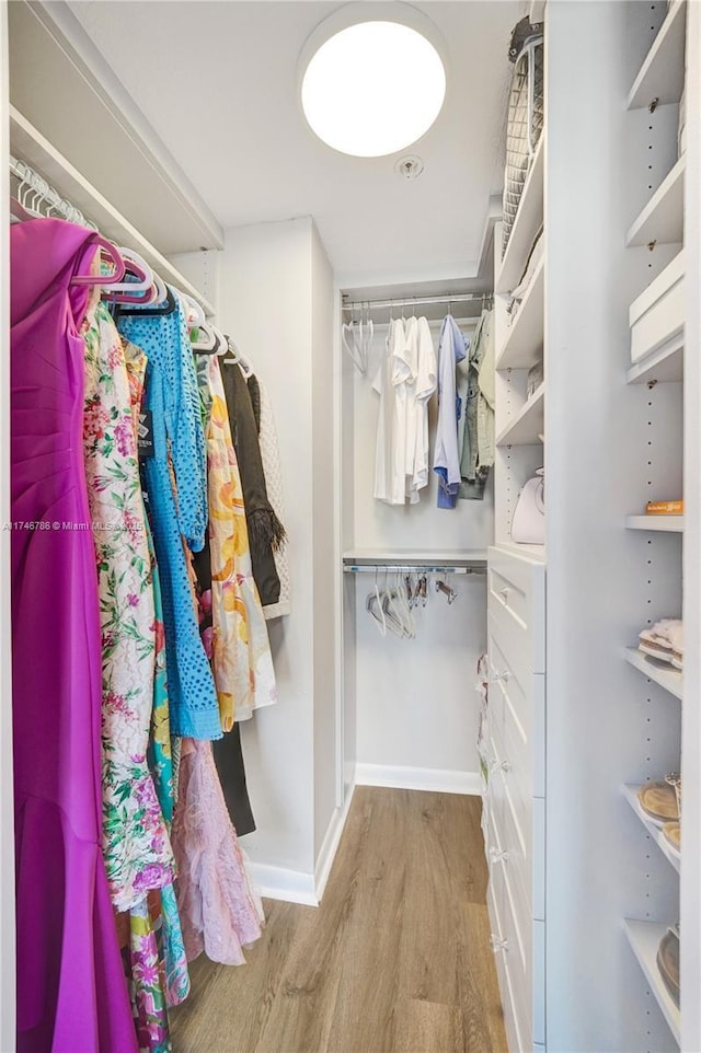 spacious closet featuring light wood-type flooring