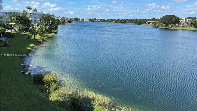 property view of water