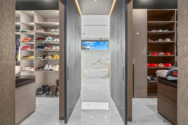 view of walk in closet