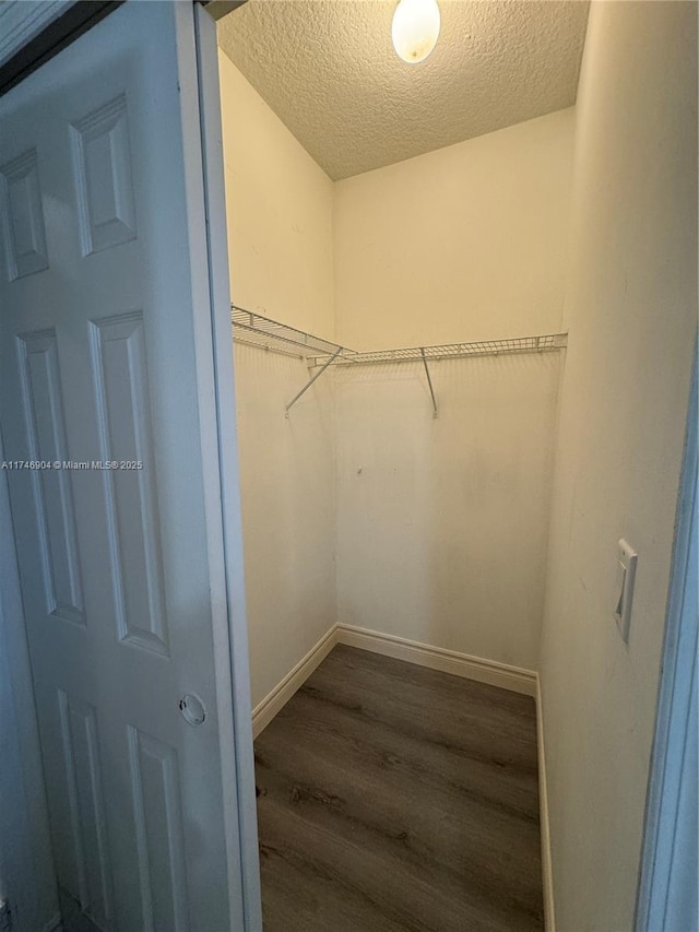 walk in closet featuring dark hardwood / wood-style flooring