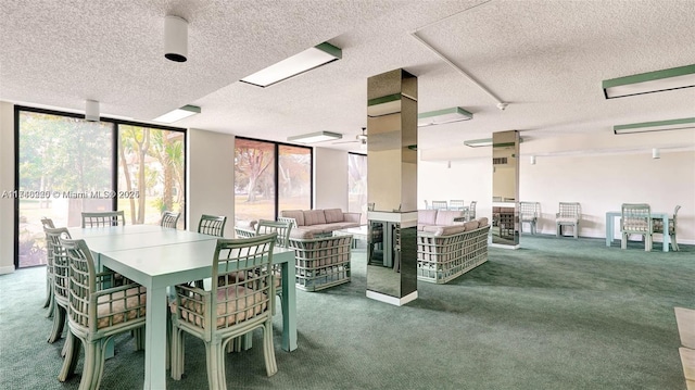 dining space with a wall of windows and carpet floors