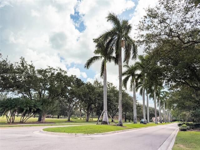 312 SE Via Sangro Prt, St Lucie, FL 34952 - view of asphalt road featuring curbs