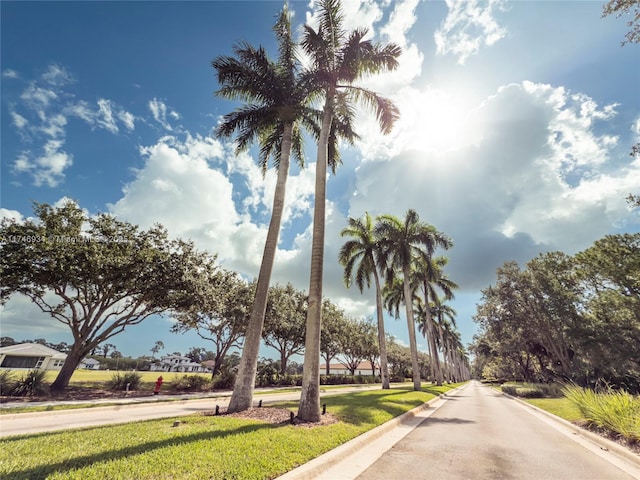 312 SE Via Sangro Prt, St Lucie, FL 34952 - view of asphalt street featuring curbs