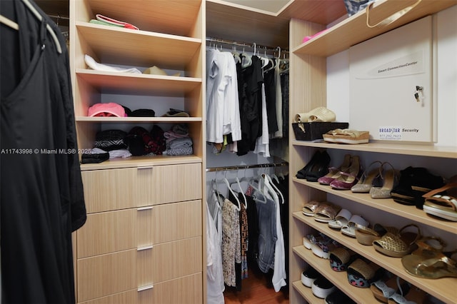 view of spacious closet