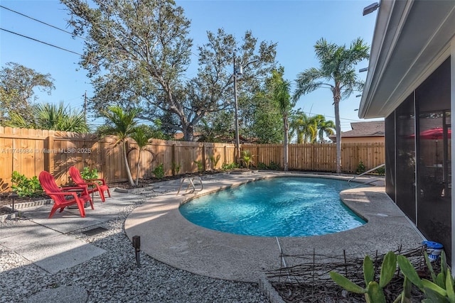 view of pool with a patio