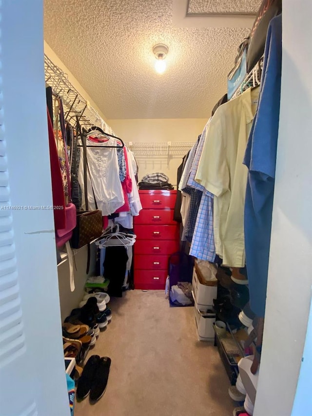 7128 Ashmont Cir Unit 207, Tamarac, FL 33321 - spacious closet featuring carpet flooring