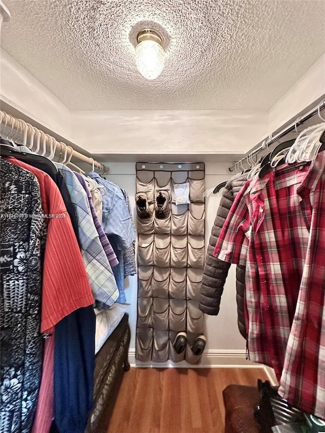 301 NE 14th Ave Unit 201, Hallandale Beach, FL 33009 - spacious closet with wood finished floors